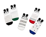 (ビグッド)Bigood かわいい 子供 ５足セット 靴下 キッズ 犬柄 スニーカー ソックス 女の子 男の子 ショートソックス スポーツ 通園 通学（XL）