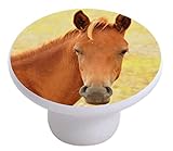 Carolina Hardware and Decor 2208 Horse Head Ceramic Cabinet Drawer Knob by Carolina Hardware and Dec