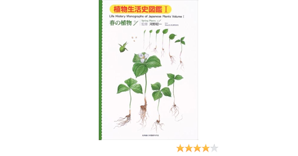 植物生活史図鑑 1 春の植物no 1 昭一 河野 本 通販 Amazon