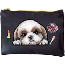 41DPykrfXAL._AC_UL210_SR210,