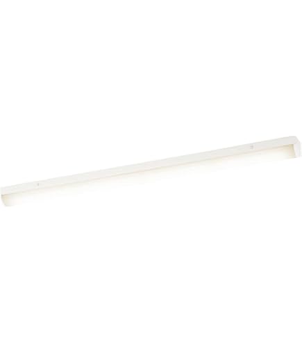 Amazon.co.jp: 岩崎電気 レディオック フラッドネオ 60クラス 超広角