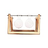 Perfk 木製　トレイ付き　水耕栽培　花瓶　テラリウム容器　卓上花瓶　３タイプ選べる - 2ビーカー