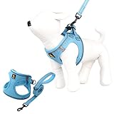 BELLA & PAL 犬用 ハーネス リード セット 小型犬 超小型犬 猫用ハーネス 胴輪 引っ張り防止 サイズ調整可能 夜間反射 脱着簡単 耐久性 通気性 ソフト メッシュ (ブルー, S)