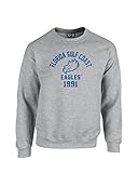 NCAA Florida Gulf Coast Eaglesマスコットブロックアーチクルーネックスウェットシャツ、Large、スポーツグレー