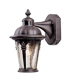 Designers Fountain 2900MD-AG Quintessence Security Lights, Autumn Gold by Designers Fountain