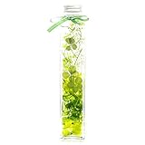 ハーバリウム (キャンパ) ハーバリウム ギフトラッピング無料 メッセージカード付き (幸せの四つ葉のクローバー・キャンパス)