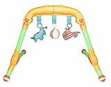 Tolo Toys Musical Activity Gym-Past [並行輸入品]