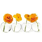Chive - Hudson Big Caterpillar Glass Flower Vase [並行輸入品]