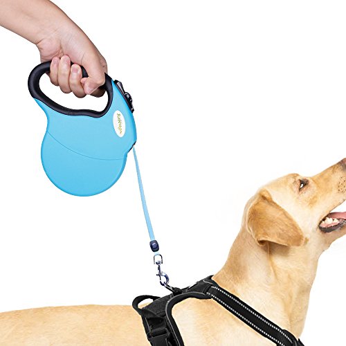 伸縮リード 愛犬用リード 巻き取り式 長さ5m 荷重50kg 自動巻き 長さ調節 夜間反射可 ワンタッチ簡単操作 絡まない 事故防止 軽量 小中大型犬対応 犬 猫 用 ペット 散歩 リード(ブルー)