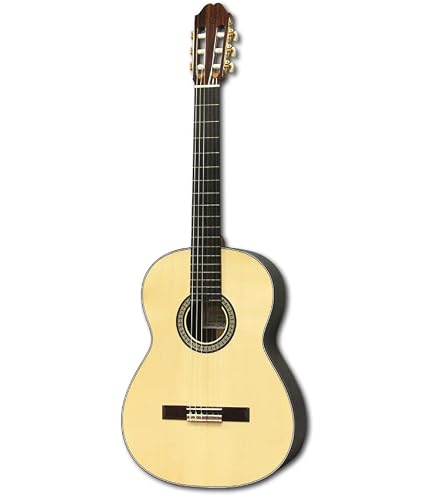 Amazon | KODAIRA AST-100/S 小平ギター クラシックギター スプルース