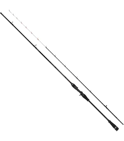 Amazon | ダイワ(DAIWA) 20 ライトヒラメX S-230・R | ダイワ(DAIWA