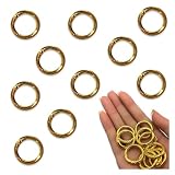 ファイ二エ カラビナ 丸 ゴールド 25ｍｍ 10個 サークル リング 金具 キーリング キーホルダー ナスカン アクセサリー ハンドメイド パーツ BD4183