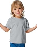 Hanes T120 Comfortsoft Crewneck ToDDler T-Shirt Size 2T, Light Blue