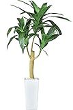 DORIS 観葉植物 光触媒 フェイクグリーン インテリア 水やり不要 陶器鉢 ドラセナL