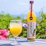 石垣島産 パイナップルジュース 100% (500ml) 2本セット プレミアム有機パイン ギフト 人気 沖縄 濃厚