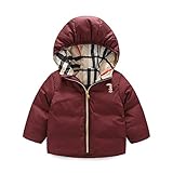 PANCY 子供服 秋冬 長袖 ダウンジャケット ダウンコート キッズ フード付き 厚手 無地 男の子 女の子(90cm,ワインレッド)