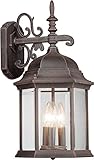 Forte Lighting 1708-03-28 Exterior Wall Light with Clear Beveled Glass Shades, Painted Rust [並行輸入品]
