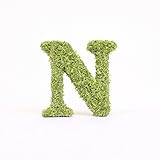 A plus floral art インテリアグリーン イニシャルモス [ N ] アルファベット オブジェ 置物 苔 イニシャル 雑貨 北欧風 インテリア