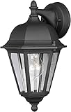 Forte Lighting 1761-01-04 Exterior Wall Light with Clear Glass Shades, Black [並行輸入品]