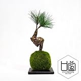 観葉植物 ミニ盆栽 フェイク 造花 ♪【カップボン】松・三本/苔玉（黒皿）♪ 【prm】インテリアグリーン フェイクグリーン アーティフィシャル 開店祝い 新築祝い ギフト 模様替え 店舗内装 プレゼ