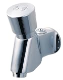 SANEI 【自閉式横水栓】 押して吐水、一定時間で止水 Y196C-13
