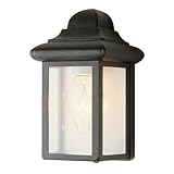 Trans Globe Lighting 44835 BK 8-1/2-Inch 1-Light Outdoor Mini Wall Lantern, Black [並行輸入品]