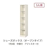 シューズボックス　BS-SP5H1(N) 井上金庫