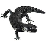 いきもの大図鑑アドバンス ヒョウモントカゲモドキ ブラックナイト ガチャガチャ ガチャポン ガチャ