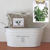 スイートバジルの栽培セット/標準セット（液体肥料なし）プランターホワイト仕様