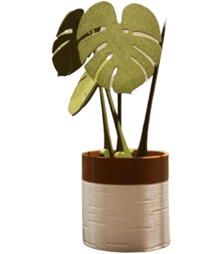 Amazon｜3Dプリントかわいい植物コースターセット デスク用 葉っぱ