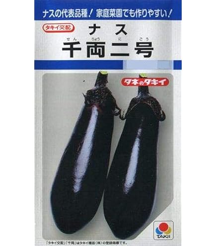 Amazon.co.jp: タキイ種苗 ナス 千両二号 : DIY・工具・ガーデン