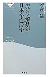 カジノ解禁が日本を亡ぼす（祥伝社新書２５５）