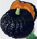 ホット販売の8本/パック、レア日本のカボチャの種、黒皮カボチャ、有機非遺伝子組み換え野菜ガーデン工場【送料無料】