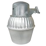 Voltec 08-00434 65W CFL Dusk-To-Dawn Light [並行輸入品]