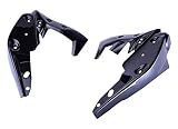 Bestem CBTR-SP11-RDC カーボンファイバーラジエーターカバー Triumph Speed Triple 2011-2012用