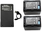 WELLSKY VW-VBT380-K VW-VBT380 互換バッテリー 2個 + VW-BC10 / VW-BC10-K 超軽量 USB Type-C 互換充電器 1個 [ 3個セット] [ 純正充電器で充電可能 残量表示可能 純正品と同じよう使用可能 ] パナソニックに向け ビデオカメラ