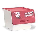 【Disney】ディズニー　フタ付きケースセット　ミニーマウス　レッド　２個セット