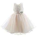 Pettigirl子供ドレス ノースリーブ ワンピース パーティー フォーマル ドレス チュール 結婚式 [並行輸入品]