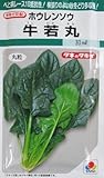 タキイ交配　牛若丸ほうれん草　　タキイ種苗のほうれん草品種です。
