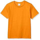 [プリントスター] 半袖 5.0オンス ベーシック Tシャツ レディース オレンジ 日本 WL (-)