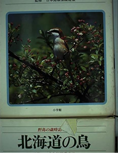 野鳥の歳時記 2 初夏の鳥 本 通販 Amazon