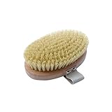 Hydrea London Beech Wood Body Brush With Cactus Fibre Bristles (Pack of 6) - サボテンの繊維毛とハイドレアロンドンブナの木の