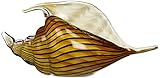 Badash Murano Style Art Glass Mouth Blonw Conch Shell On Crystal Base, Length 10-Inch