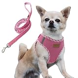 Aiminto デニム犬用ハーネス＆リードセット、通気性の高いメッシュ素材、軽量、ハーネス胸元に反射材付き - 猫や超小型犬用 (ハーネスとリードをセット(ピンク), XXXS胴範囲24-28cm)