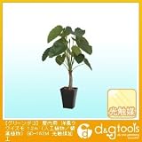タカショー グリーンデコ　屋内用　洋風クワイズモ　(人工植物/観葉植物) 光触媒加工 1.2m （GD-162M）