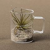 計量カップ風　ガラスベース