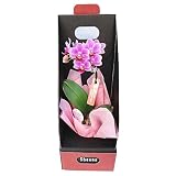 ミニ胡蝶蘭 ギフト マイクロBOX入り ピンク／ラッピング＆メッセージ無料花のプレゼント 生花 鉢植え 開店祝いに 母の日 父の日 敬老の日 おじいちゃん おばあちゃん (ピンク3)
