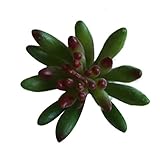 SUND　人工観葉植物　小型　多肉植物　DIY　手作り　インテリア　雑貨　高品質　枯れない　結婚式　誕生日　発表会　入学式　卒業式　適用