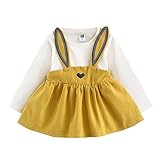 DAISUKI　ベビー服 子供服 女の子 ワンピース ドレス 長袖 秋 冬 可愛い オシャレ 通園 発表会 旅行 記念日 プレゼント ３ヶ月-３歳
