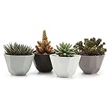 T4U 12.5CM 陶器鉢 幾何パターン マット表面 多肉植物 サボテン鉢 フラワーポット プランター容器 フルカラー 4個入り